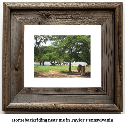 horseback riding near me in Taylor, Pennsylvania